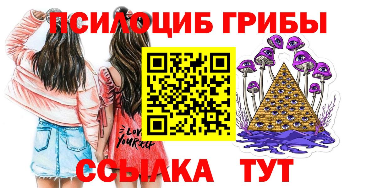 Псилоцибиновые грибы GOLDEN TEACHER  Вход с VPN  Галлюциногенные грибы прущие грибы  Кизляр 